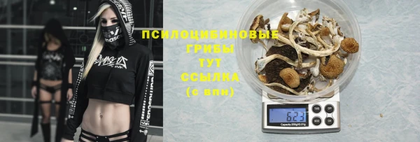 Альфа ПВП Михайловск