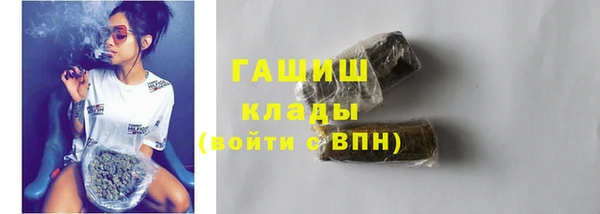 индика Алзамай