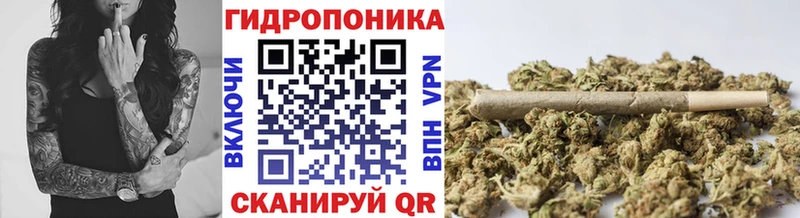 Бошки Шишки ГИДРОПОН  Приволжский 